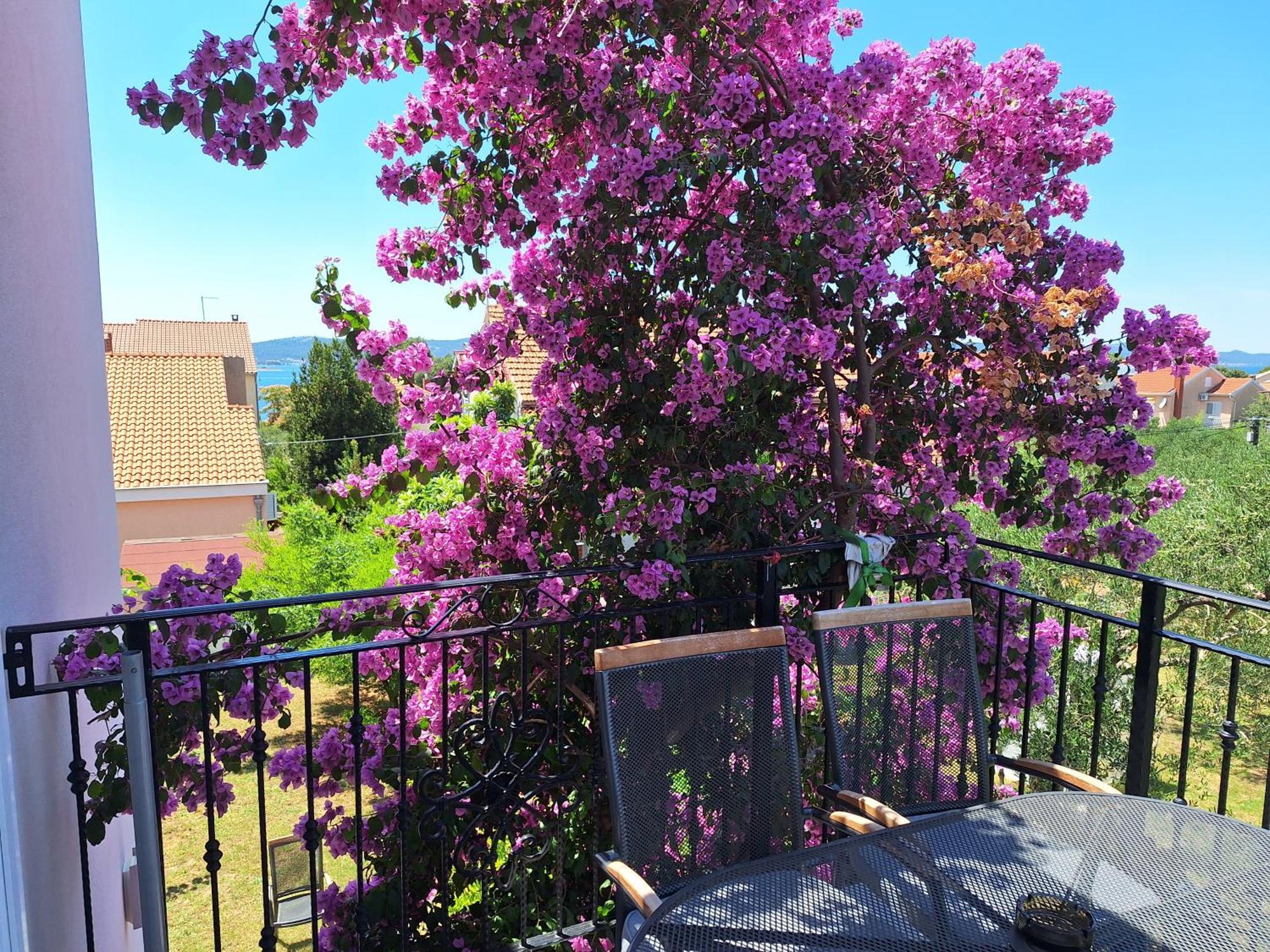 Apartments Vodopija 300M To The Beach Sveti Filip i Jakov Δωμάτιο φωτογραφία
