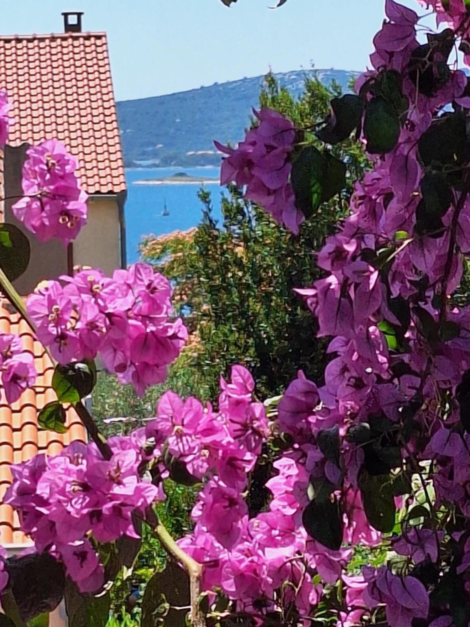 Apartments Vodopija 300M To The Beach Sveti Filip i Jakov Δωμάτιο φωτογραφία